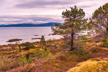 Fototapeta na wymiar The Senja Island in Norway