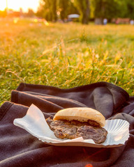 picnic in the garden