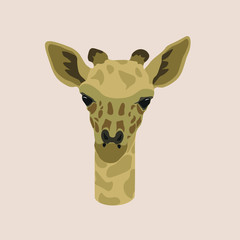giraffe vector cute animal illustration logo