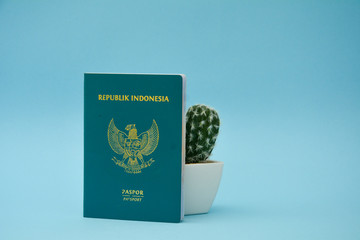 Photo of Indonesian passport concept with beautiful light blue color background