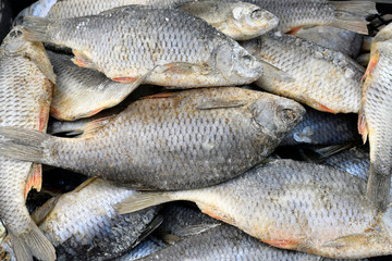 Dried salted rudd is neatly folded in a drawer. The fish is completely salted with the head and viscera.