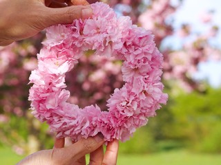 Woman holding a circle made of cherry blossoms in a city park an a beautiful spring day.