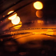 close up of some leaves shining at night during a cold rainy night.