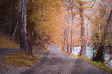 Oil painting autumn forest, road and river