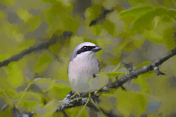 Oil painting: little songbird among the branches of a green pear