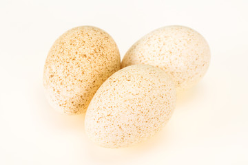 Three big raw turkey egg