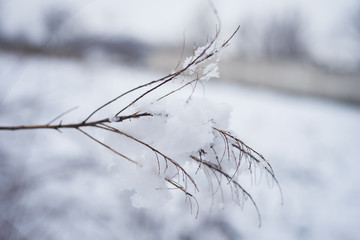 White, cold snow. Winter background. natural background