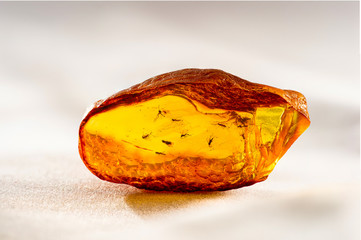 A magnificent piece of Baltic amber with prehistoric flies and insects inside that are many millions of years old. Close-up Photo.