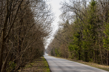 Long gray asphalt road stretching in forest.No cars,people around.Trip in own car to wild nature alone,with family,friends.Self-isolation,departure,escape from city.Quarantine covid-19 coronavirus