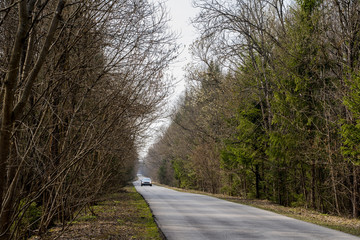 Obraz premium Long gray asphalt road stretching in forest.No cars,people around.Trip in own car to wild nature alone,with family,friends.Self-isolation,departure,escape from city.Quarantine covid-19 coronavirus