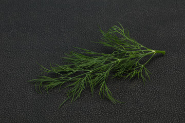 Fresh green dill herb branch