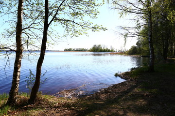 lake in the forest