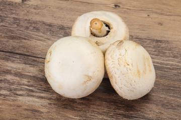 Raw Champignon heap for cooking