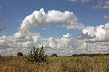 Cumulus clouds over the field