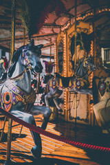 Fototapeta na wymiar A horse from a carrousel in Florence Italy