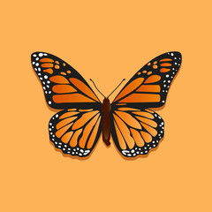 butterfly monarсh