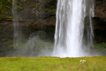 Obraz premium Seljalandsfoss / Iceland - August 15, 2017: Seljalandsfoss one of the most famous Icelandic waterfall, Iceland, Europe
