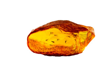 A magnificent piece of Baltic amber with prehistoric flies and insects that are many millions of years old. Isolated on white background. 