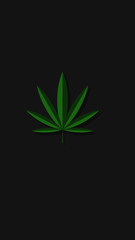 Cannabis-Symbol. Vektor Illustration. Canada plant. Canada. Leaf plant on grey background with short shadow.
