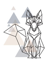 fox lines triangle