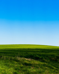 Fototapeta na wymiar Grüne Wiese, saftiges gras, Blauer himmel, Landschaft im Frühling, als hintergrund geeignet, hochkant