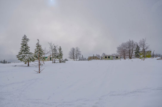 photograph military base in the woods winter trees with cold ice and snow