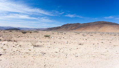 A landscape in the skeleton coast
