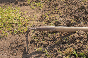 Garden tool lying on the ground