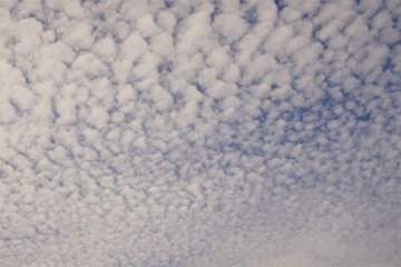 Amazing white clouds, cirrocumulus, on the background of blue sky, Spring in GA USA.