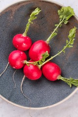 Set of fresh whole radishes in plate