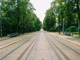 tram track in the city among the trees