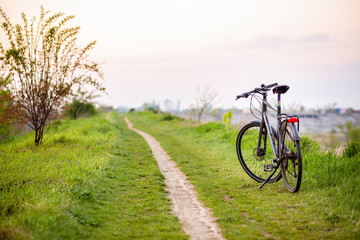 Bike leaning in a jack near a path that leads to the horizon in a natural park with rich vegetation in a European city