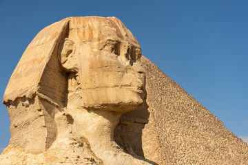 The Great Sphinx of Giza with the pyramids on background