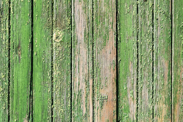 Fototapeta na wymiar Green old wood texture with scratches and cracks