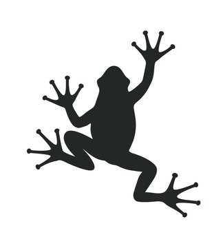 Frog graphic icon. Frog black sign isolated on white background. Vector illustration