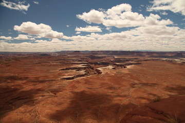 Expansive view from Green River Overlook in Canyonlands National Park (Island In The Sky District), Utah