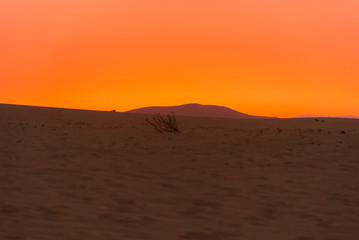 Sunset over the sand dunes, Canary Island of Fuerteventura