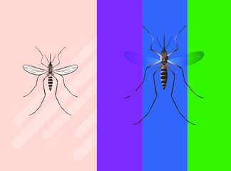 Mosquito Flat Vector Icon Illustration with gradient color
