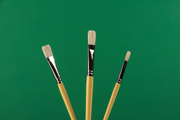 Professional brushes for painting