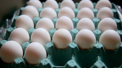 chicken eggs in kitchen