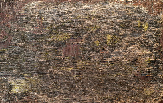 Surface texture of old plywood with traces of paint in panoramic format.