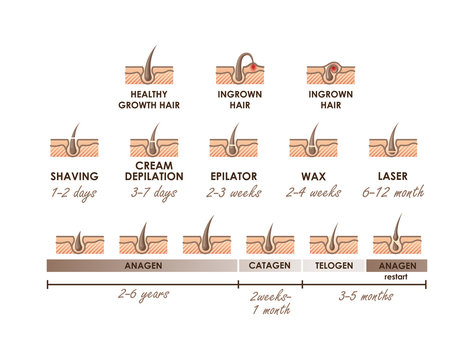 Healthy growth hair. Ingrown hair. Hair growth phases. Different methods of hair removal