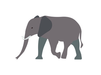 Walking Elephant simple Flat Vector Illustration