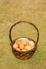 A basket of eggs shot with selective focus - 342469360