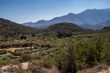 Mountains in the centre of Crete