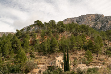 Fototapeta na wymiar Spaniens Bergwelt mit Olivenhainen