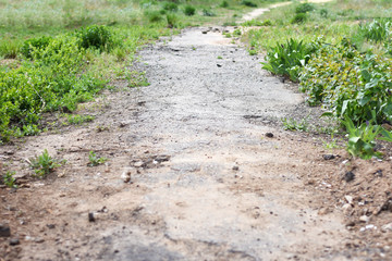 old asphalt road destroyed and overgrown with grass.