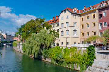Fototapeta na wymiar panorama of the city of Ljubljana in Slovenia
