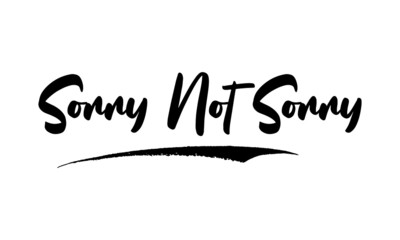 Sorry Not Sorry. Calligraphy Black Color Text On White Background
