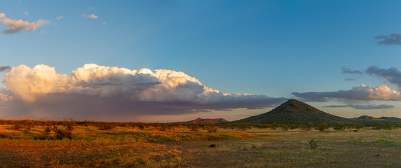 Panoramic image of the Sonoran Desert of Arizona during sunset with distant rain and blue skies.